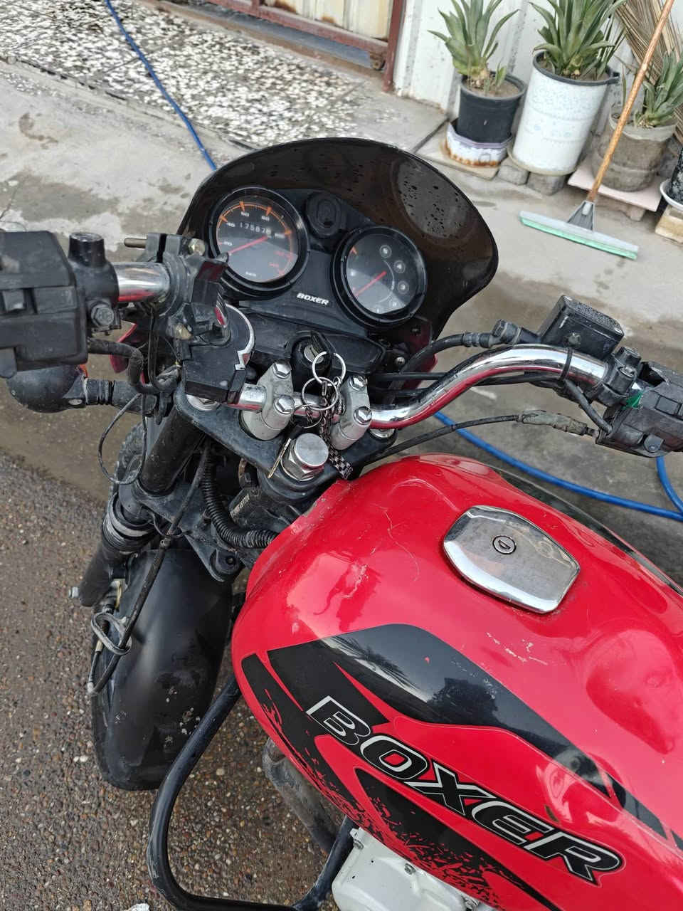 متاح بوكسر موديل 22 اوراق كاملة مكينة مامفتوحه بيهة خيط تبخير السعر مليون و 100 وبيهة مجال بسيط
العنوان بغداد الدورة 
الرقم ***********
