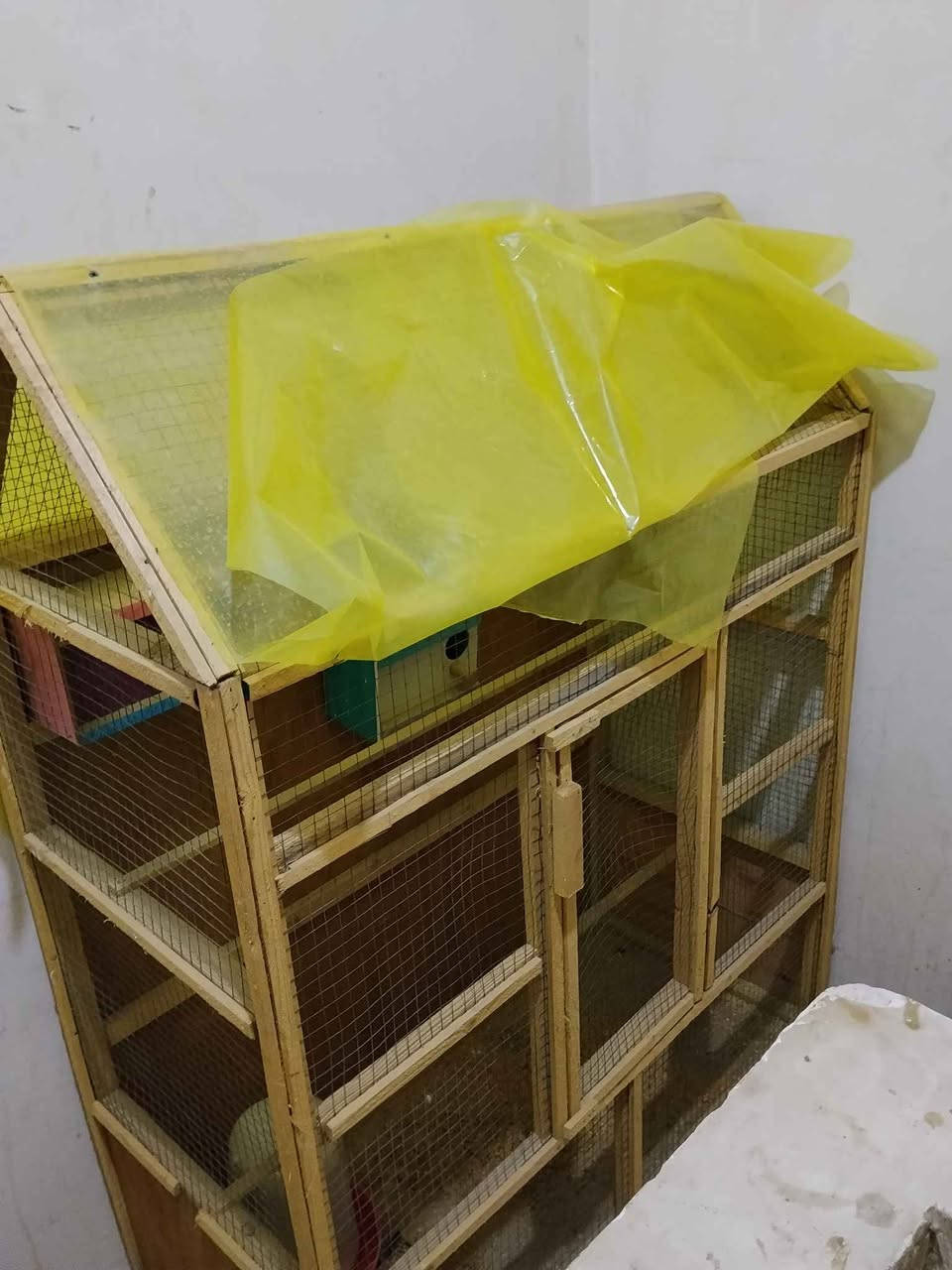 مكان بابل Singapore


**إذا كنت صاحب هذا الإعلان وتريد حذفه لأي سبب، رجاءا أرسل رسالة إلى الدعم الفني**