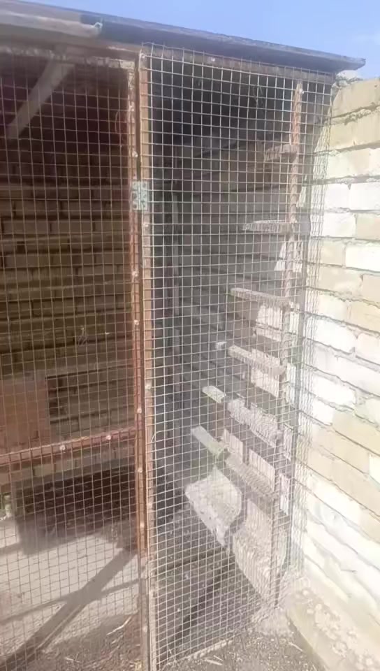 واجهيه حديد طول 4امتار ونص ارتفاع 2 متر 
سيم بي ار سي ناعم بيها ثلاث ابواب 
تصير قطعتين قطعه 3 متر وقطعه متر ونص ناقصها بس الصبغ السعر 125 بغداد كويريش قرب علوة الرشيد 
الخاص مفتوح


**إذا كنت صاحب هذا الإعلان وتريد حذفه لأي سبب، رجاءا أرسل رسالة إلى الدعم الفني**