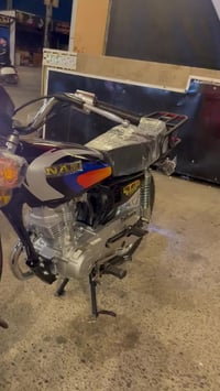 نامي • معمرة • اوراق كامله