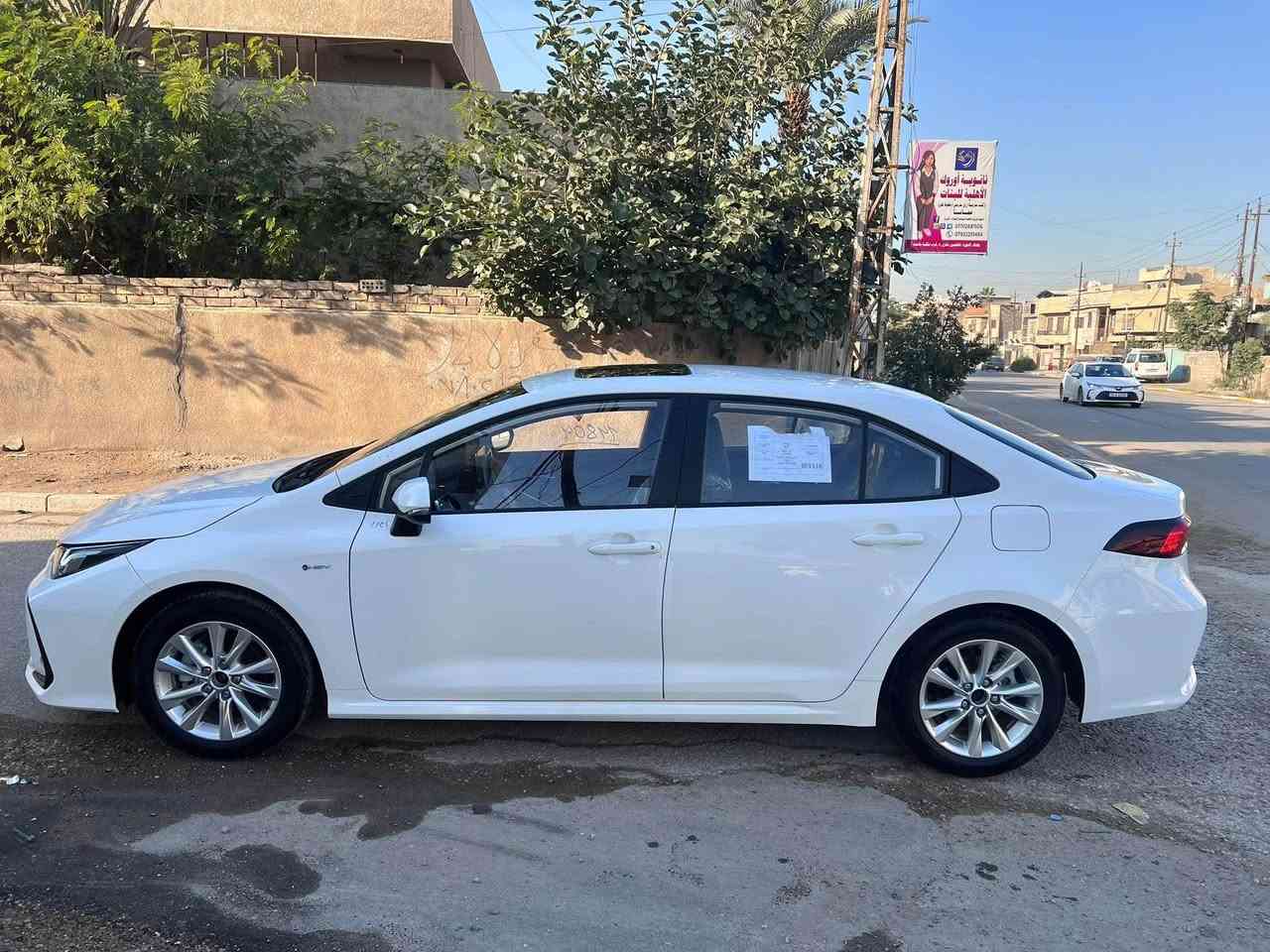 *********** بغداد, العراق
