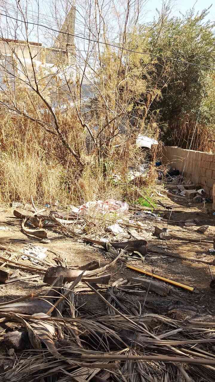 من رخصة الادمن
يوجد حطب سعف +كرب مال نخل يابس واشجار طرفه الي يريدة يجي ياخذه بلاش بس مايخلي شي ياخذه كله الي يردة يتصل على الارقام او بس يرمش
 ***********بي وتساب 
***********
المكان القائم حصيبة
