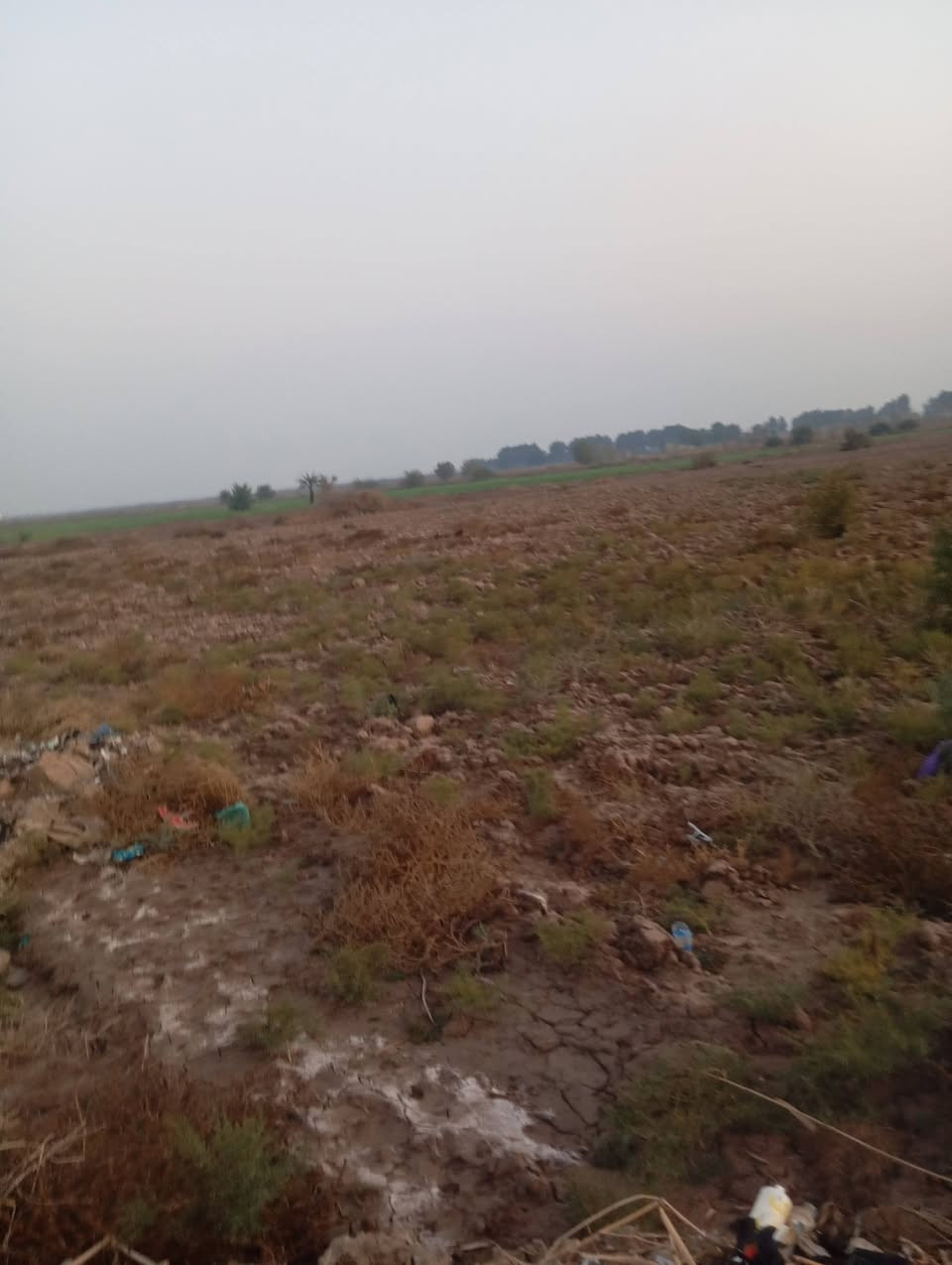 ارض زراعيه للبيع ست دوانم حاوي العباس قريبه ع المنطقه ماء وكهرباء للتصال ***********
