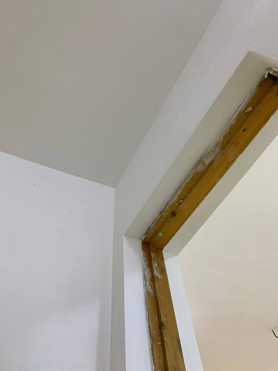 السلام عليكم ورحمة الله
شغل درجه اولى على ايادي ماهره
اسمنت جص بورك واجهيات 
تصفير مصاطر 
***********
