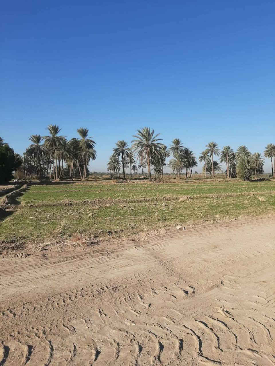 🌹السلام عليكم ..🌹

🌌#__أرض_زراعية__للبيع  🌌

🌍🟧#موقع_راقي__راقي__جدا

🌎 موقع راقي جدا صالح للاستثمار والسكن والزراعة 

🌐🌎الموقع ** الحمزة الغربي   __ مقابل شركة الاتحاد للسكر

🟥التفاصيل 👇👇

🟧المساحة : 4 دونم 

🌠 مباشر على الشارع الدولي 

🌌 صالحة للسكن والزراعة والاستثمار 

🟥السعر : سعر الدونم الواحد 18مليون وبيه مجال 

🌠 البيع عن طريق المكتب حصرا 

للاستفسار اكثر يرجى زيارة مكتبنا مكتب دلالية الرياحين للعقار          
#الكائن ..
 مقابل مديرية ناحية الحمزة على جهة الشارع الخدمي مجاور مكتب الإمارة.
             أو 
🟥الاتصال على ،,#الادارة:  *********** واتساب 

                                         *********** واتساب 

                                         *********** واتساب 

🏞️🏞️ للأعلان والترويج عن عقاراتكم يرجى مراسلة الصفحة أو مراسلة خدمة الزبائن واتساب ☎️ *********** ☎️
