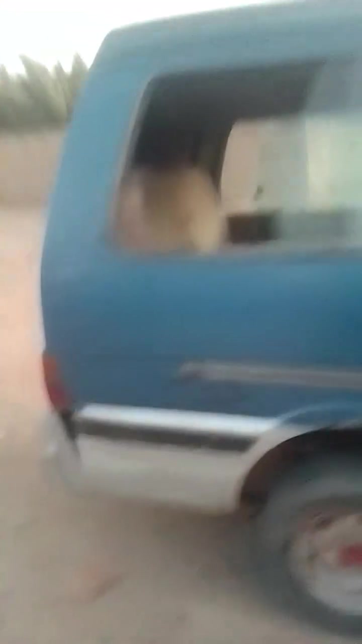 للبيع كايمه تصال ***********
