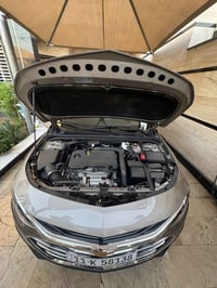 ماليبو • ٢٠٢٤ • ضرر بابين