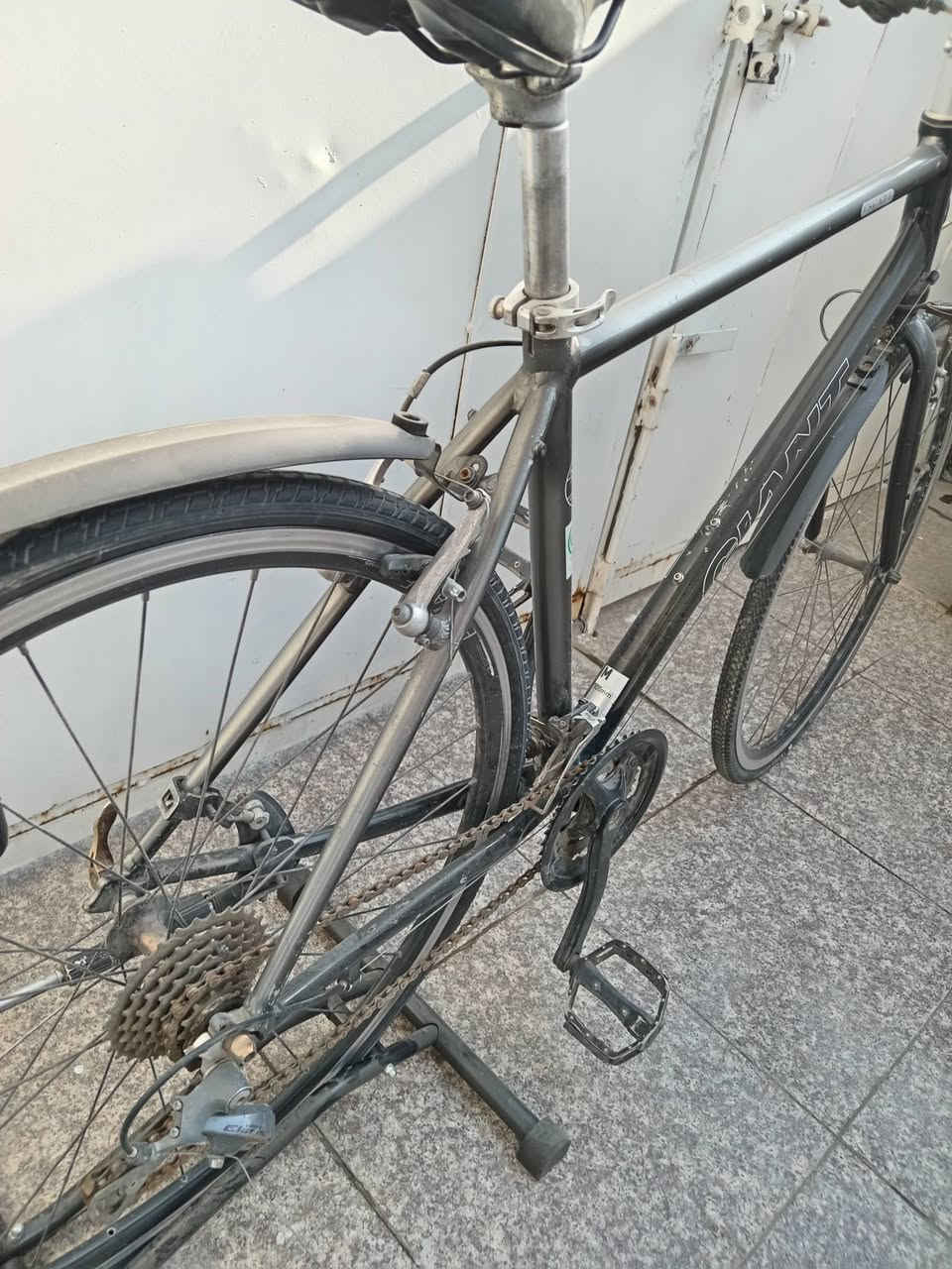 السلام عليكم
للبيع باسكل جانيت سكب
قياس Mالكبير
كروب سيت سرام x3
عكرب 8نمر خلفي و3 امامي
كيوره سحب دفع
جوابه جدد بريكات جدد تايرات نضاف
سرج جديد جاملغات جدد
السعر 130 وبي مجال
العنوان الدوره
***********
