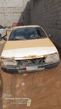 بيجو روه • ٢٠٠٩ • ابو الخصيب