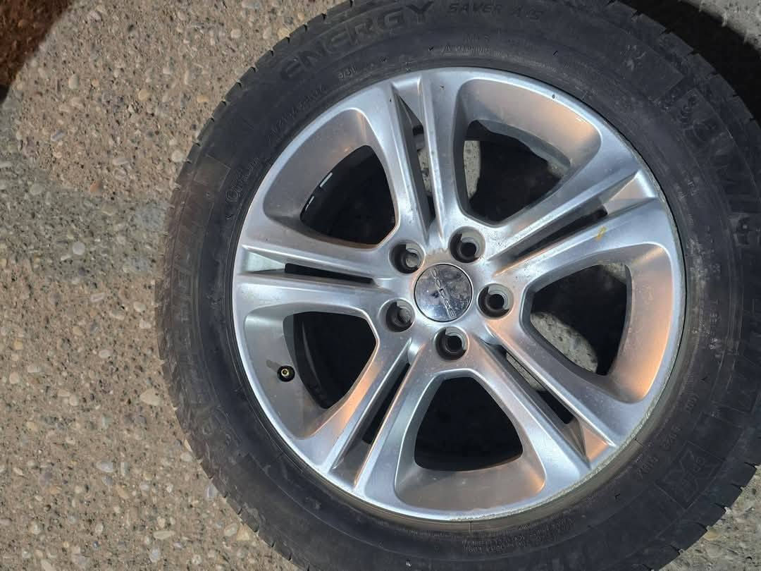 *********** السعر ٢٥٠ الف قفل سعر نهائي ويل مكفول
