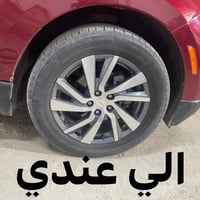 ويل بريمر • مراوس بويل RS • بدون تصليح