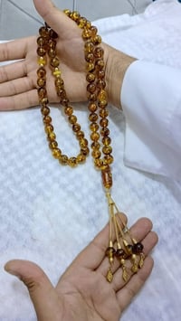 كهرب روسي • أبو الحشره