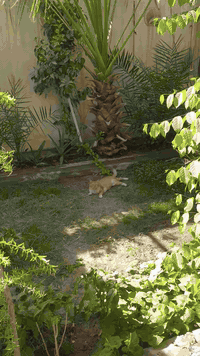 ياالله
مساحه🏠 ١٥٠ متر  +٦٠  متر تشجير 🏠

طابو ملك صرف 

شارع    ١٥ 

واجهه  ١٠   
نزال   ١٥
٤  غرف نوم 
هول 
صاله كبيره
مطبخ 
٢  منور
٣  حمامات 
وحديقه وكراج  كبير
٢ سطح
✍واقع حال   ٢١٠  متر 

   ***********
العنوان  /الامين الثانيه نواب الظباط شارع المهداوي للسيارات
