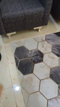 تخم تسگام عراقي 8مقاعد صار شهر ماخذته 500وبي مجال07721626338