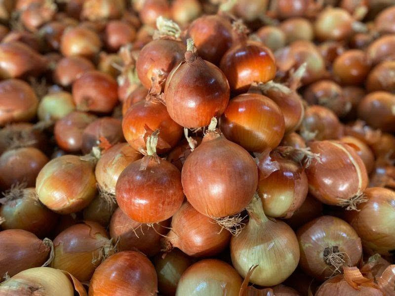 Fresh réd /white /yellow onion High quality from Morocco 🇲🇦


**إذا كنت صاحب هذا الإعلان وتريد حذفه لأي سبب، رجاءا أرسل رسالة إلى الدعم الفني**