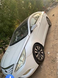 خليجي • فول • ٢٠١١