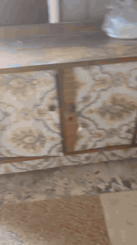 سلام عليكم بوفيه ٤بوب صاج كاونتر القديم لباب لاول وميز رفوف قفلهن ١٧٥كلهن تكمه الله يشهد


**إذا كنت صاحب هذا الإعلان وتريد حذفه لأي سبب، رجاءا أرسل رسالة إلى الدعم الفني**