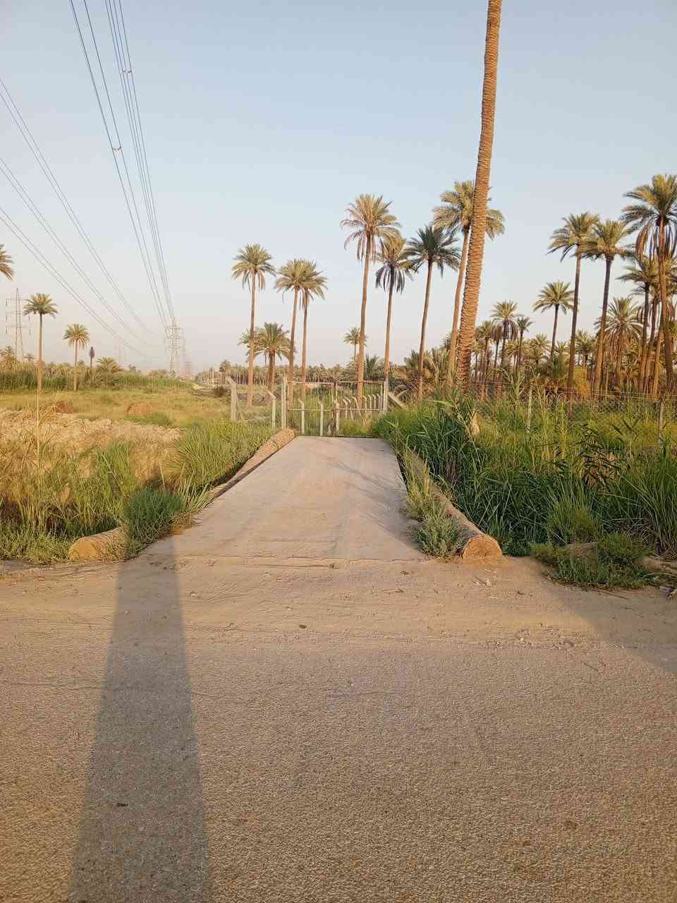 ارض طابو زراعي سند 25 تحويل مباشر باسم المشتري مسيجه 2 دونم واجه 25م او اكثر الشارع امامها مبلط فقط النهر فاصل بينها وبين التبليط تبعد عن شارع كربلاء تقريبا 3كيلو كافة الخدمات تبليط كهرباء ماء سقي وماء اساله فيها بعض النخيل المكان بليبيج عند الذهاب الى كربلاء من طوريج تكون على الجانب الايسر وحسب مموضح اعلاه مزيد من المعلومات اتصل على *********** *********** مراجعة مكتب ابو احمد المرشدي هنديه  الجمعيه بعد الملاعب مقابل صالون حنين

