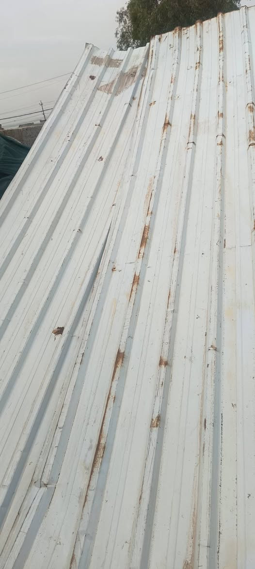 جينكو طول 5ونص والعرض متر
عدد3 ادفع سعر الي يرضا الله


**إذا كنت صاحب هذا الإعلان وتريد حذفه لأي سبب، رجاءا أرسل رسالة إلى الدعم الفني**