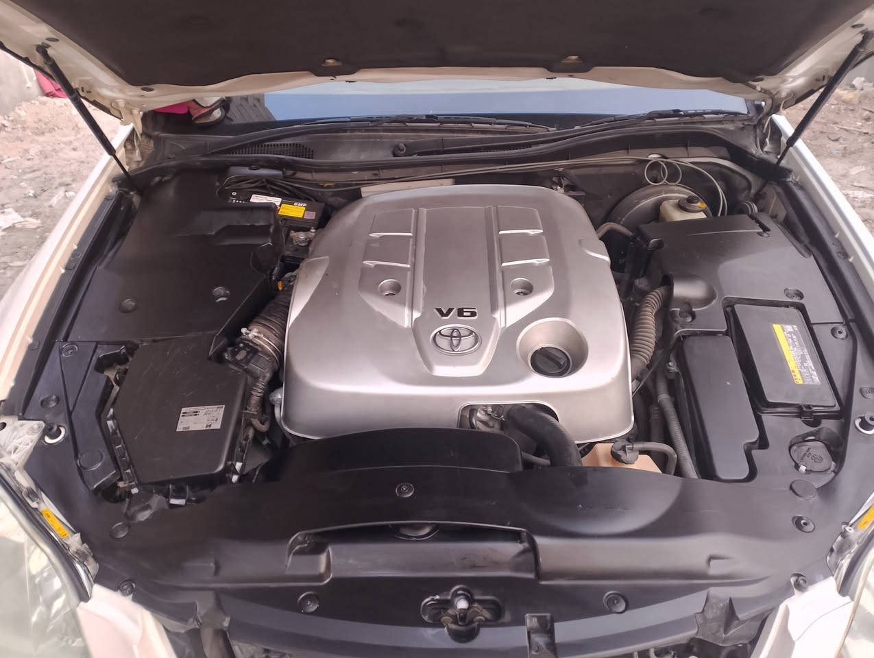 اللهم صلي على محمد وال محمد شاهينه كفاله عامه
شاهينه كفاله عامه موديل 2004 

سياره كفاله عامه من صبغ وتبديل ونقل جثه وضربه 

سياره سته بصمات شغاله 

ثلاث قطع بردات 

ثلاثة قطع تبريد 

اربع كشنات كهرباء شغاله 

كامره 

ثلاجه سياره فول بطن 

سياره كرستال اصل 

راديو سيدي خزن ست اقراص 

سياره لايت دوار 

سياره شاصي 82 المرغوب 

ستيرن كهرباء 

كير ستة نمر

سياره رقم بصره 

سياره بيه هواي مواصفات سياره مال جناي سياره نضيفه بمعنى الكلمه بعد احله من الصور المكان أبي الخصيب للاستفسار الاتصال على الرقم ***********
