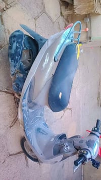 ماكس منغولي • مكفولة • بابل