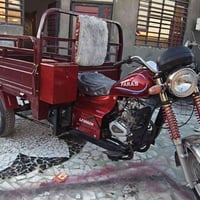 فرس • ٢٠٠ • ستوته