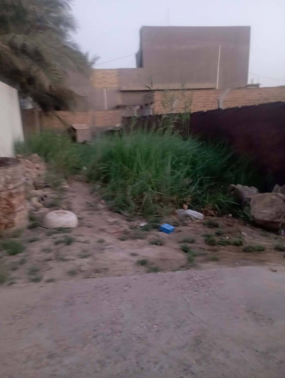 سلام عليكم دار للبيع مساحه 100متر سند 25 الموقع حي الجزائر ال بعليان البيت مرتب وحلو يحتوي عله صاله وكلدور وتلث غرف نوم ويا قطعه مساحه 400 متر كافه الخدمات من يرغب بشراء مراجعه مكتب عقارات الحسام السعر175 وبي مجال ويرهم إيجار 350 ***********
