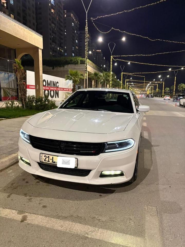 سلام  عليكم  جارجر 2019
وارد كندي   كفاله عامه

مكفوله من الدعاميه لدعاميه

 موصفات.  sxt 

محرك 3600

 رقم سليمانيه  بأسمي 

مكاني ديالى خانقين   ***********
