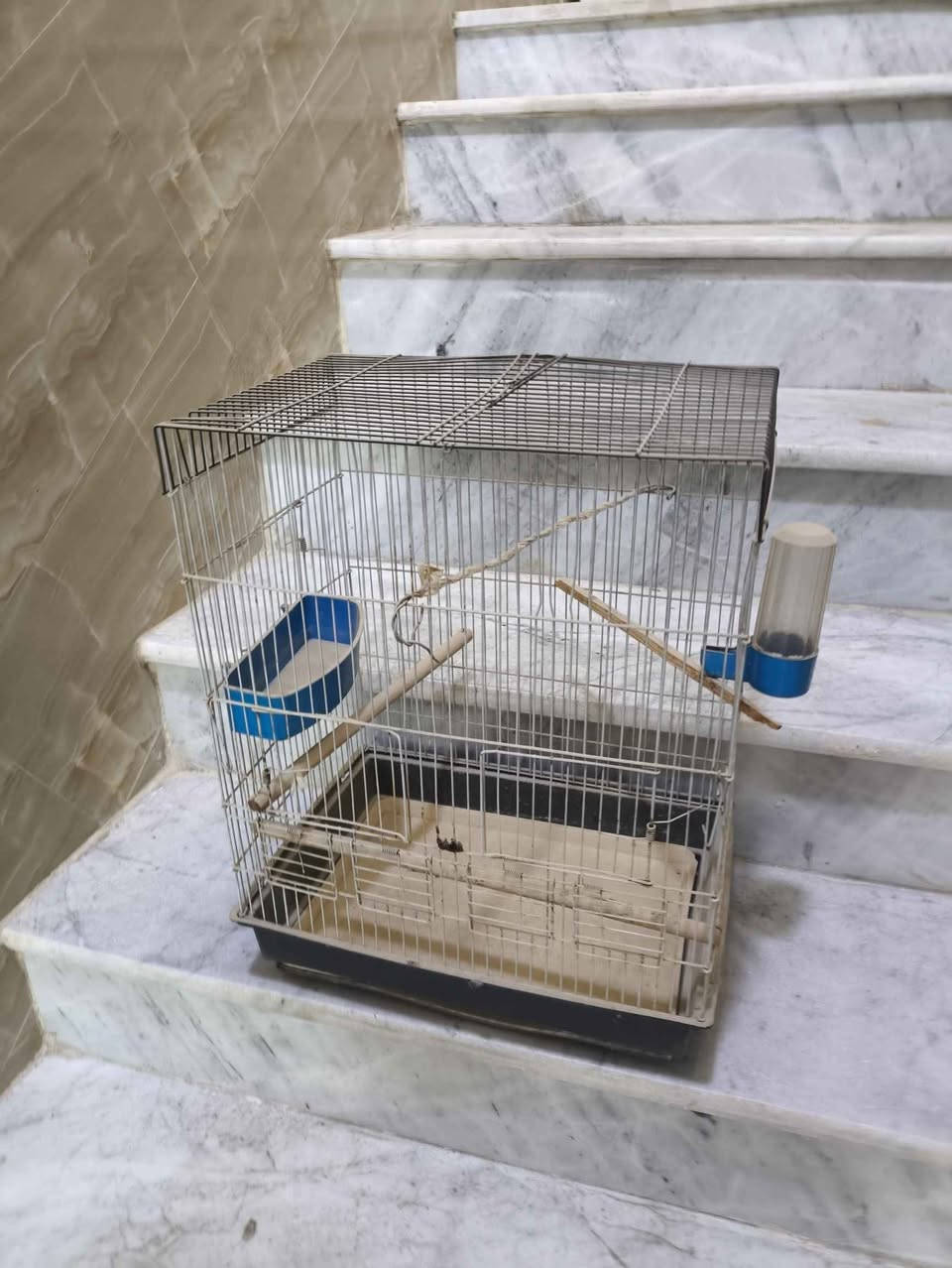 قفص طيور نظيف حجم كبير 
ويا غراضة مال المي والاكل 

الموقع 📍 كربلاء مركز المحافظة 
السعر 💸 15الف كربلاء, العراق


**إذا كنت صاحب هذا الإعلان وتريد حذفه لأي سبب، رجاءا أرسل رسالة إلى الدعم الفني**