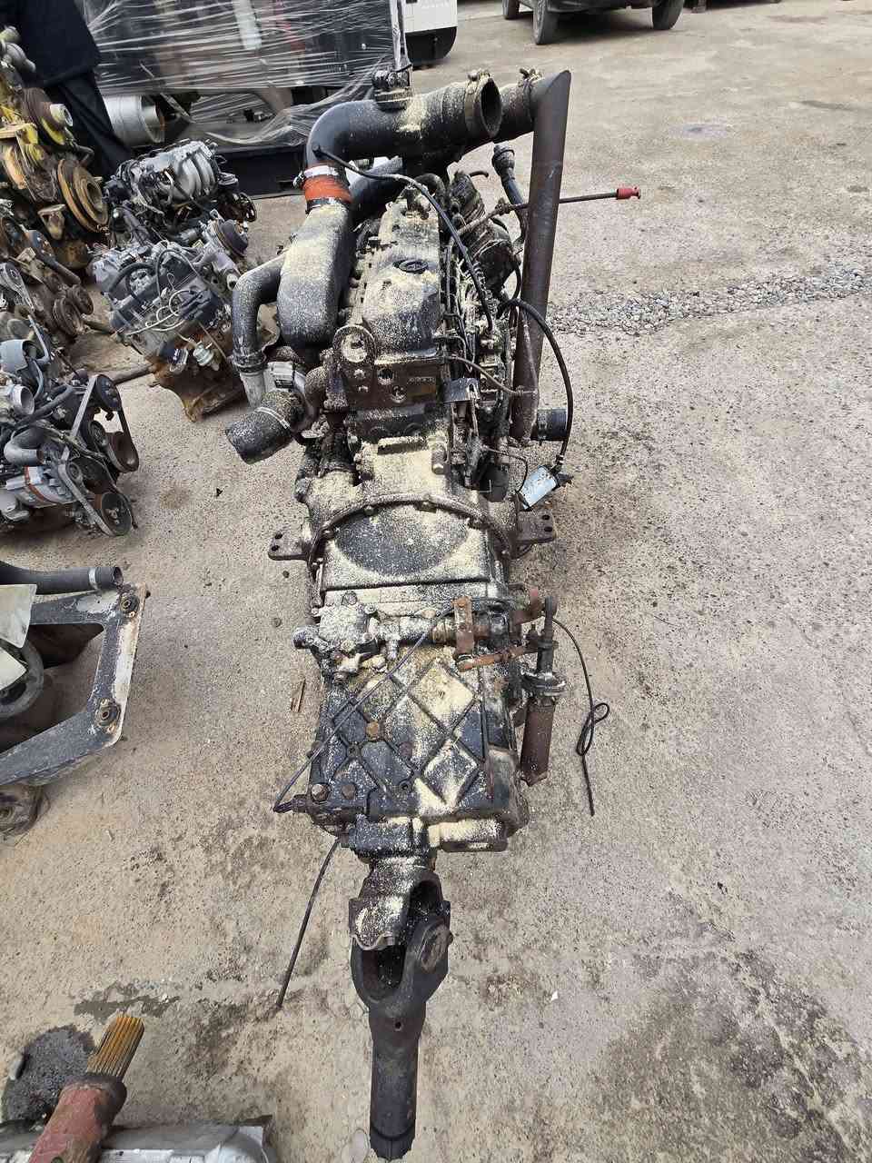 سلام عليكم *********** واتساب
