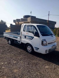 كيا بونغو • ٢٠٢٣ • بابل ناحيت النيل