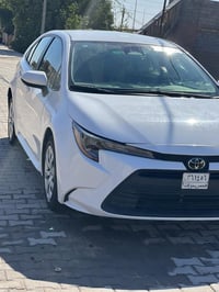 كورلا • ٢٠٢٣ • تقرير غرق