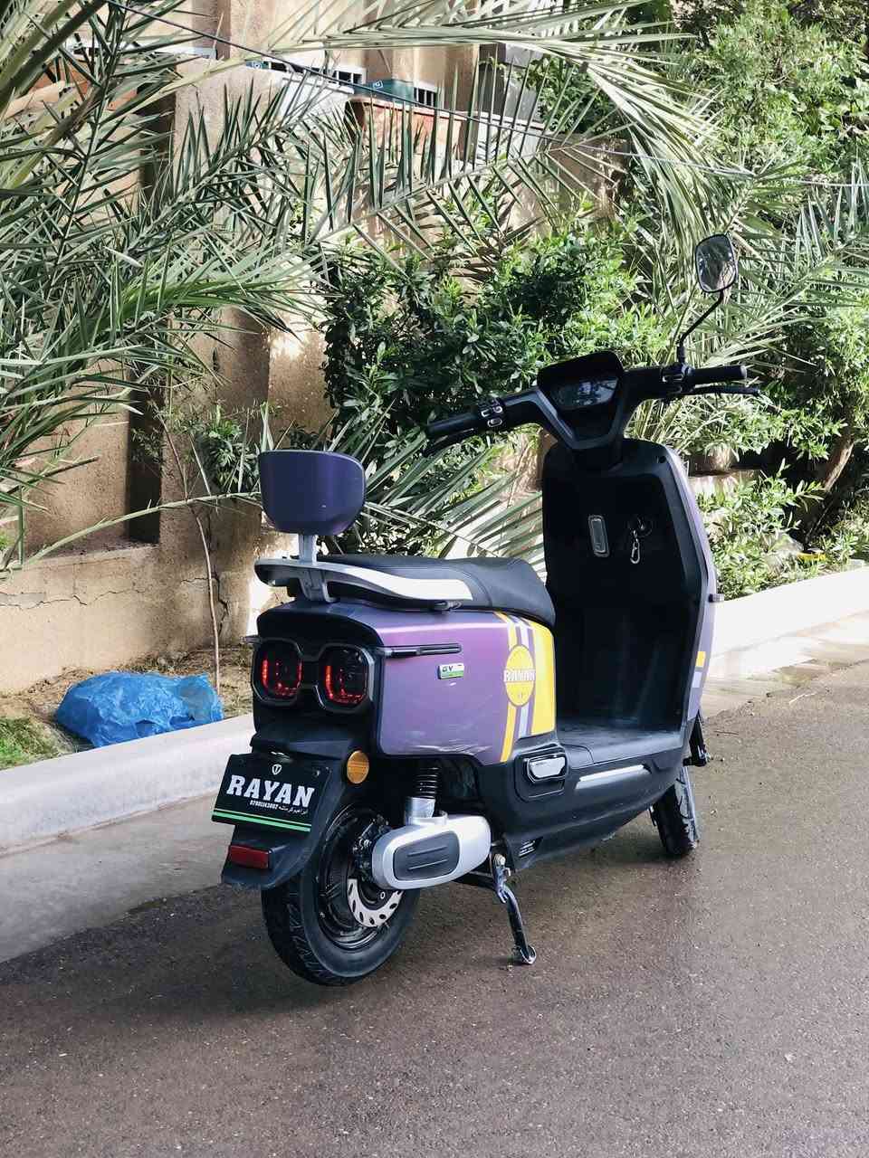 ريان ام عيون
سعر 625
باتريات حيل زينات


**إذا كنت صاحب هذا الإعلان وتريد حذفه لأي سبب، رجاءا أرسل رسالة إلى الدعم الفني**