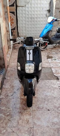 ماكس بؤليس • ياباني • أسود