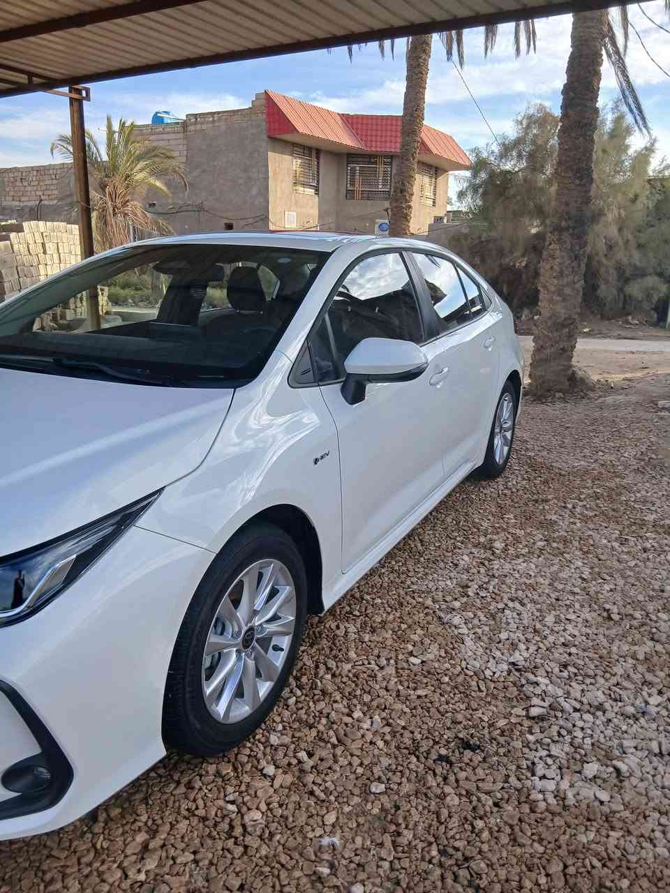 كورلا هايبرد مكفوله كفاله عامه رقم بغداد بسمي ماشيه  7 تالف مكان السياره نجف الاستفسار ***********
