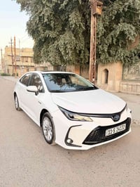 جلد احمر • ٢٠٢٣ • ٢٦ الف