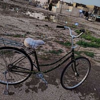 باسكل للبيع الحجم 26 الرقم 07778669164 والسعر 55 وبي مجال 50 أو 45