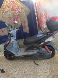 سكنس ياباني • فحل • خمس أيام