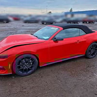 موستانغ • ٢٠٢٦ • مزاد النجف