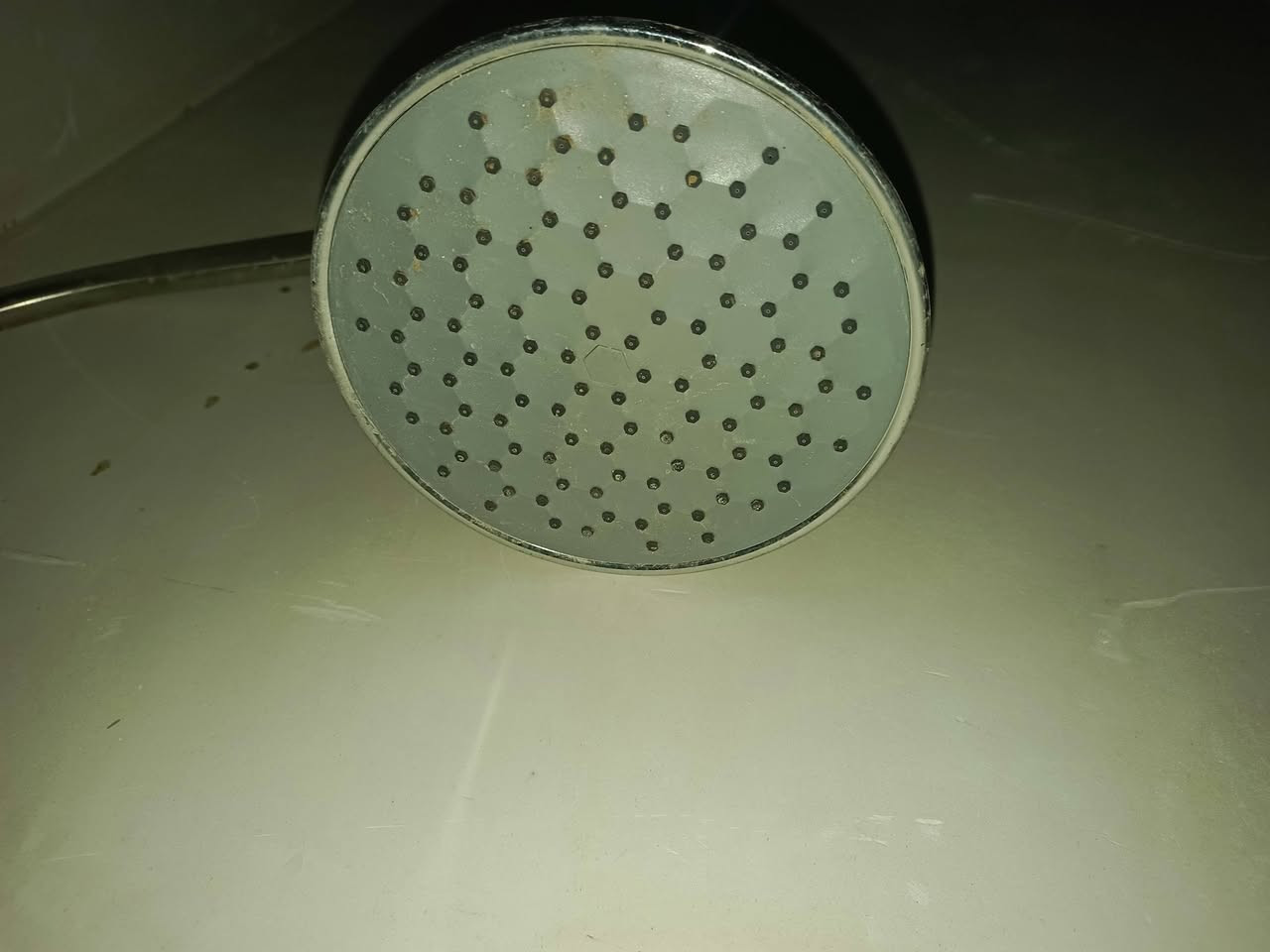 دوش كبير السعر 15 استخدام شهر
غسالة السعر جديدة مستخدمه شهر السعر 35
ماطور ماء كبير السعر 60 بي مجال استخدام 5 اشهر شرط التشغيل
بنكة نضيفه استخدام سنة السعر 20 بيها مجال شرط التشغيل العنوان داقوق حي المعلمين للتواصل ***********
