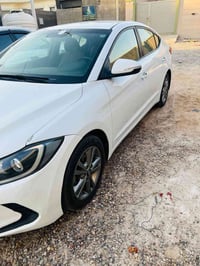 النترا • ٢٠١٧ • البصره
