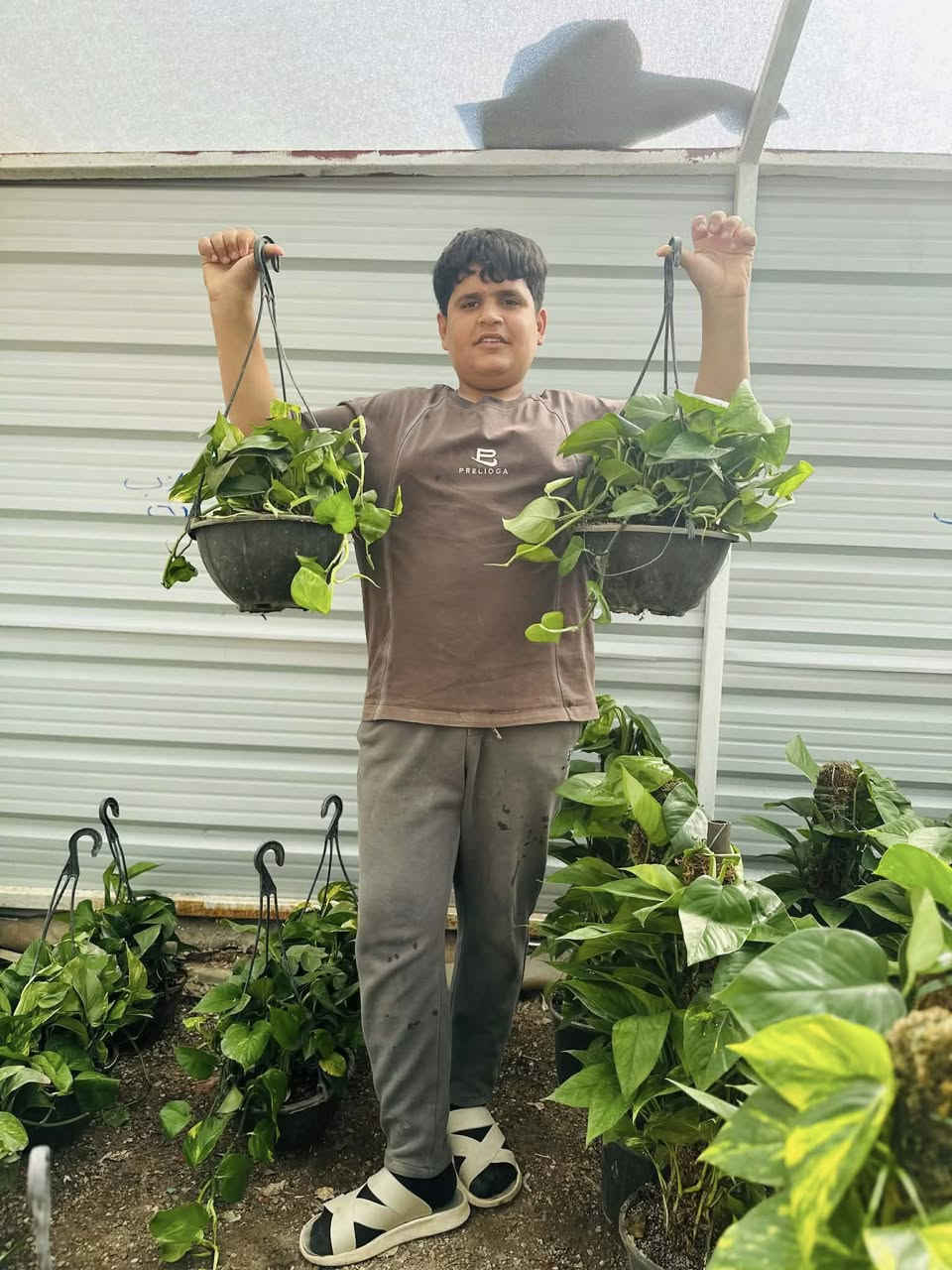 لبلاب متدلي متوفر 
مشتل شهيد العتبي
العنوان واسط العزيزيه قرب معمل السوس 
الاستفسار مراسله الصفحه او الاتصال ***********
