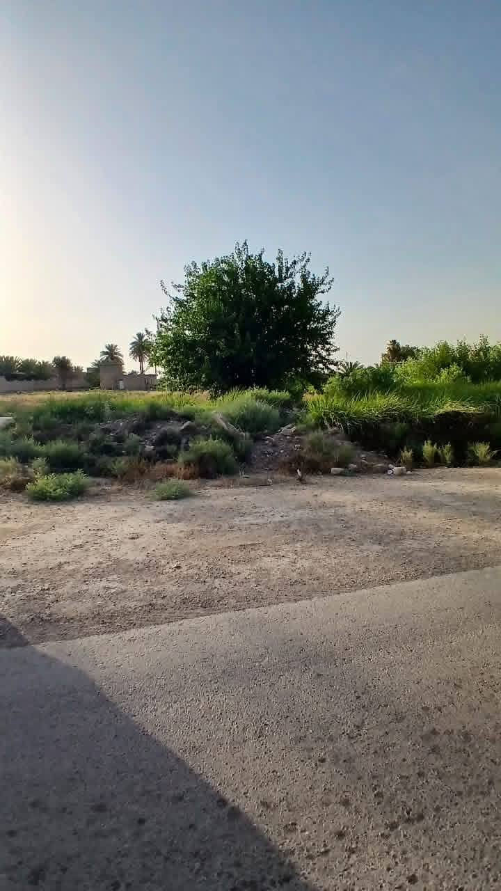 #هام_جدا_بخصوص_هاي_كاع_مالتي
اخوان هاي الكاع مالتنه وبسمنه السند انشر يجون الدلالين يخمطون الكليشه ويكتبلك بسمي تخابره يكلك بسم عمي لو جدي لو خالي لو بسم حبيبي يخليك تتكاتب عل كاع وتتفاجئ يطلب منك دلاليه يابه مو انته كتلي هاي مالتنه لا اني دلال ويخليك ترضى بأمر الواقع وتدفع دلاليه غصبن عليك وشكو كاع انشرهة فيه بسمنه وسندات ومرتسمات وتثبيت حدود زين تحياتي
هاي صور المناطق الدينشرونهة دلالين

السلام عليكم اخواني الأعزاء الغالين
10 دوانم طابو زراعي سند 25 الأرض بسمي فتح بيان مباشر انشاء الله
الواجهة للدونم الواحد 50 متر ونزال 50 متر يعني مربعه
السعر 24 مليون وبي مجال للدونم 
التاجي ذراع دجله منطقة الشيخ عامر مجاور مركز صحي
للاتصال والاستفسار *********** - واتساب
