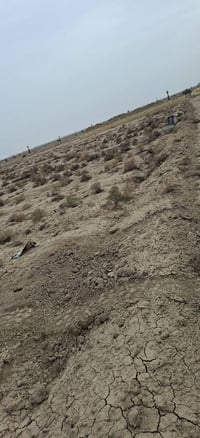 قطع للبيع سفحة ثانية صف حولي سند عل وجبة ثانية سويلك وكالة يم كاتب عدل...