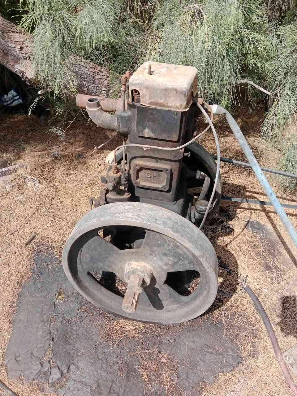 سلام عليكم مولد ابو 8 السعر 500وبيها مجال المكان الناصرية قضاء الرفاعي طريق سيد احمد  ***********
