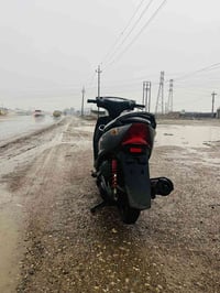 ثعلب للبيع مكفوله صار شهر من نزلتهة رمبة للبيع 07750599258