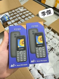 فونروكس F2163 • 4G • ٣٠٠ قطعة