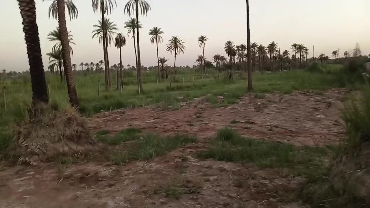 اللهم صل على محمد وآل محمد
دونم ونص للبيع طابو زراعي سند 25 تحويل أسهم واجهيه 28م خدمات ماء وكهرباء مولدة مدارس قريبه يبعد عن طريق الزوار 800م الكاع صالحه للزراعه او للسكن العنوان كربلاء طويريج منطقة السياحي ابو سفن اي استفسار مراجعة مكتب 🏢 #عقارات #علي #الجنابي مقابيل جسر 🌉 حي الصناعي مجاور دارك مول 🏬 ***********
