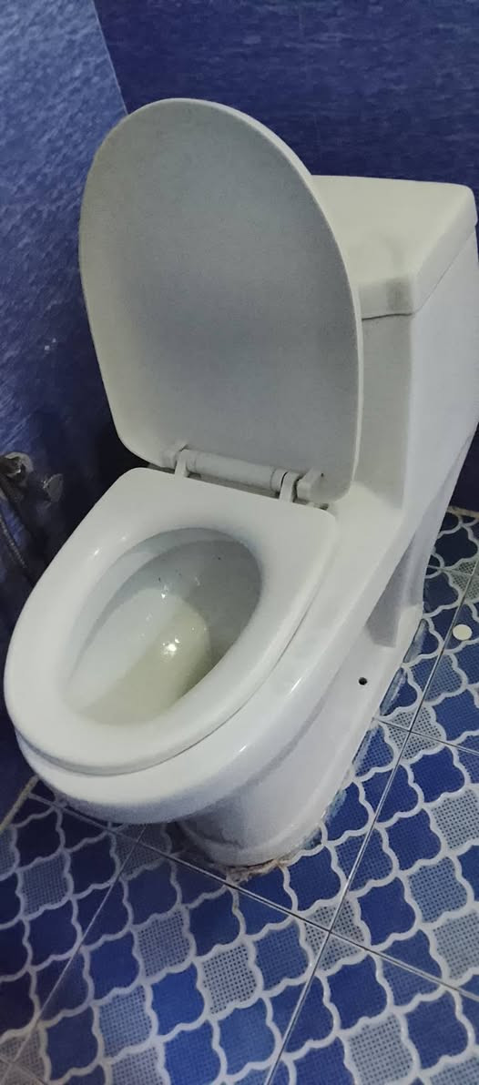 غربيه للبيع 
حريه شارع 20 
***********
