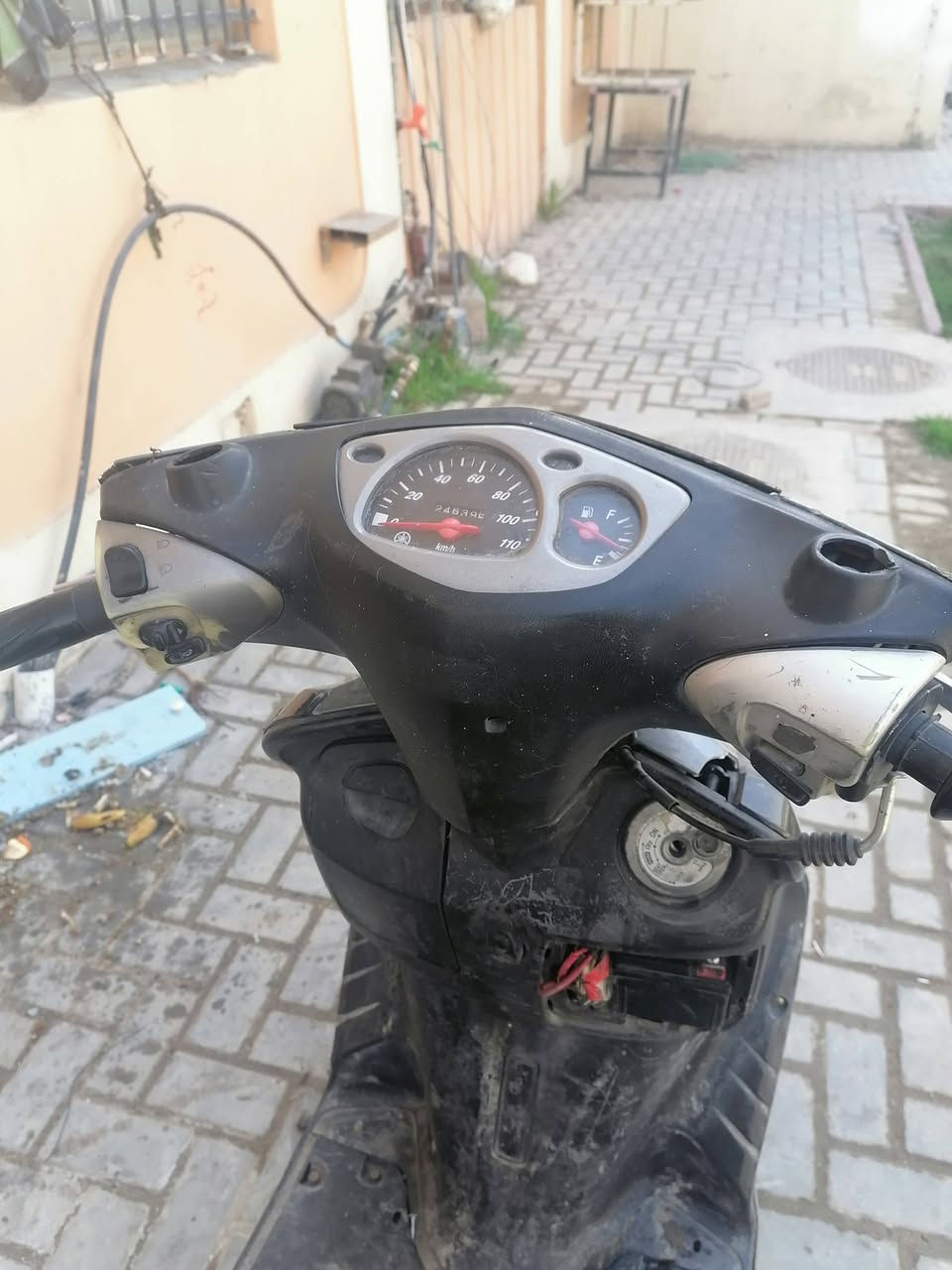 السلام عليكم سكنس نثيه للبيع عاطله للبيع مكاني بغداد شقق الحبيبيه مقابل شارع الصيانه رقمي ***********  السعر 200 الف بيها مجال حق الجيه
